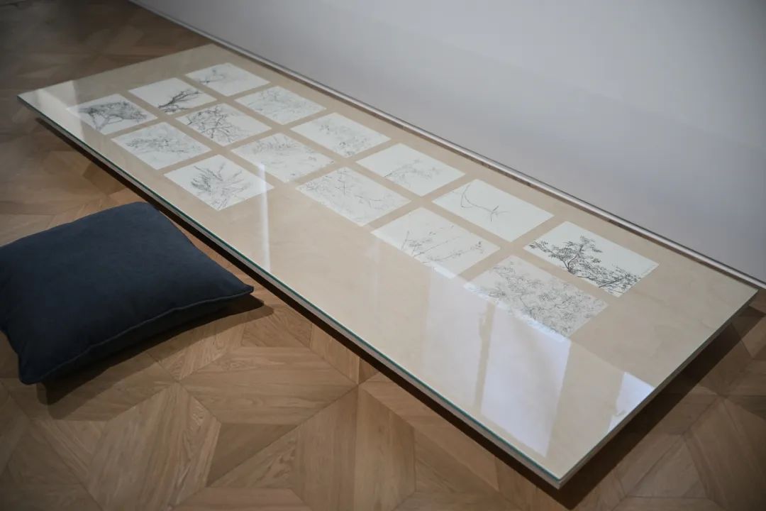 郑波（中国香港） 《写生》系列（