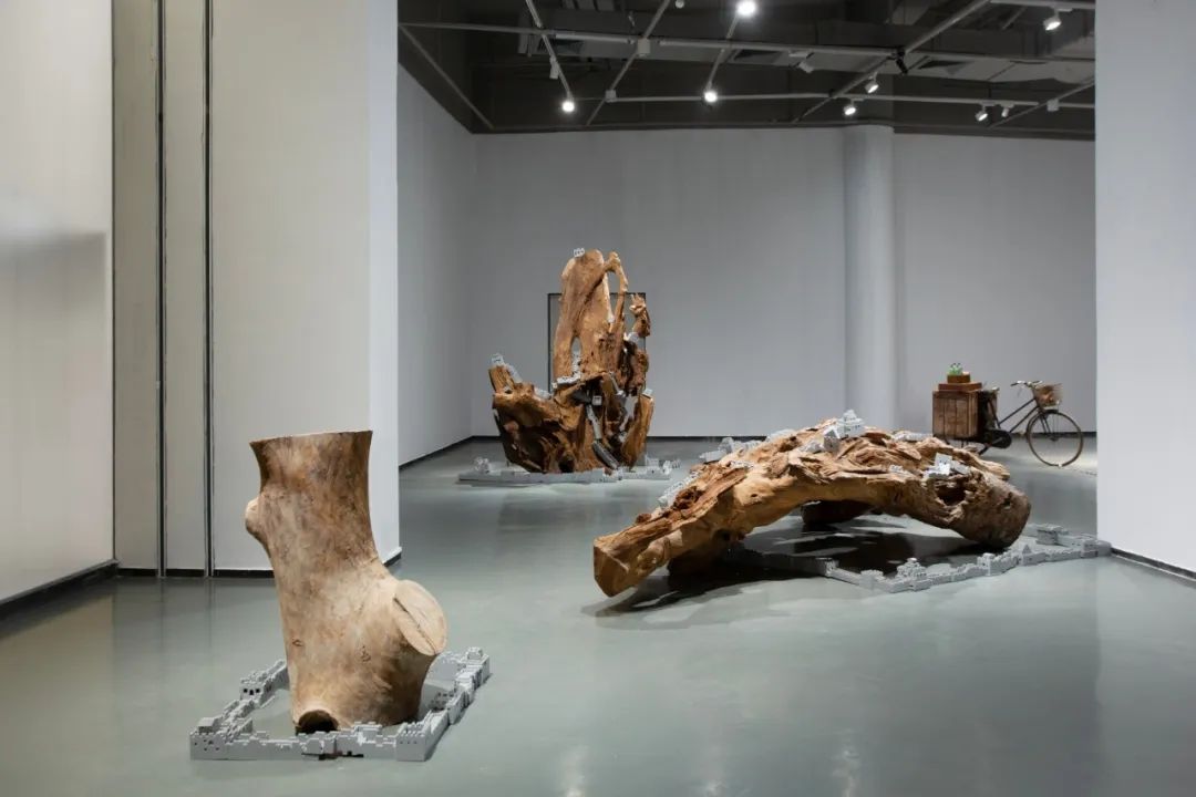 ▲沈远《延长的根》 木、乐高,960 x 500 x 260 cm