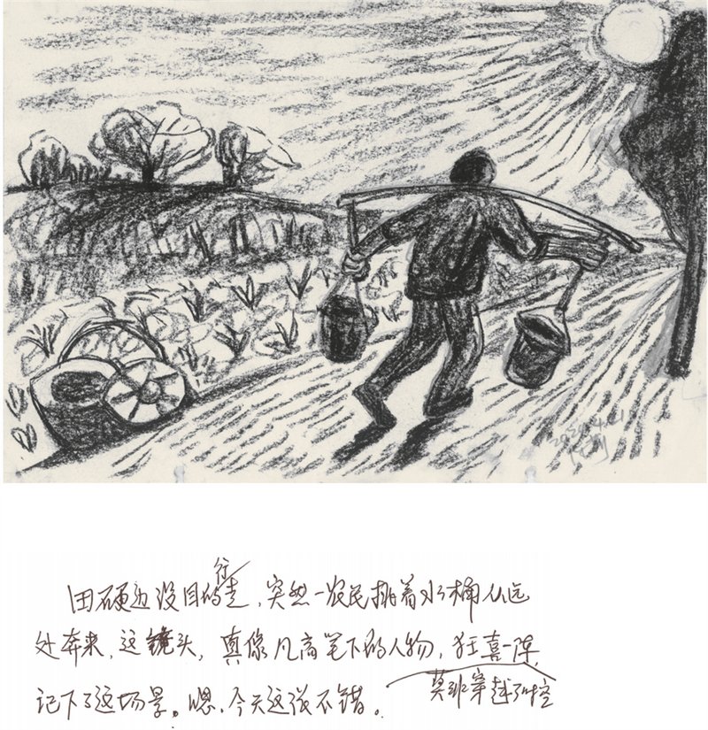 陈莉《龙泉∕洛带》系列作品