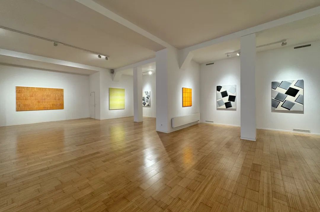 《尼柯拉·迪米托夫 》个展现场