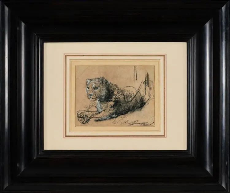 伦勃朗《卧息的幼狮》