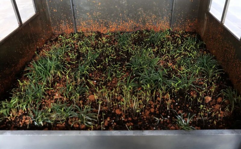 黄文亚《南山之南》影像装置（局部）2017&mdash;2025