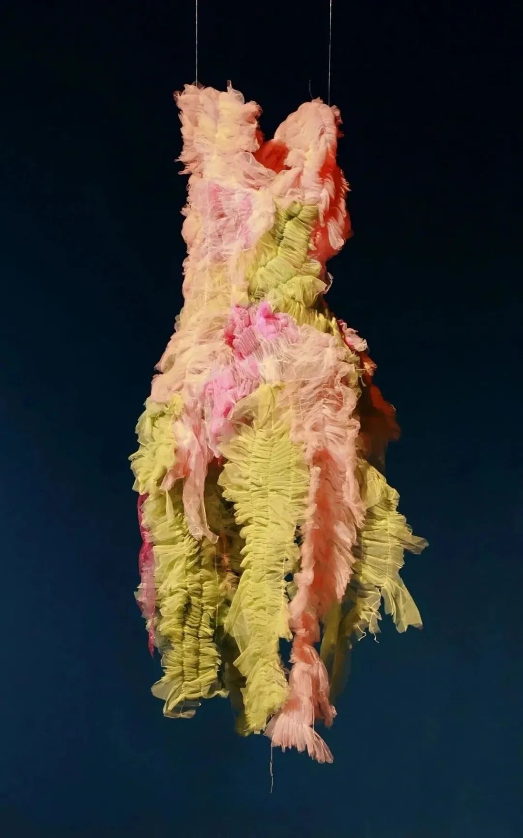 春 系列 网纱 60&times;160cm 2026