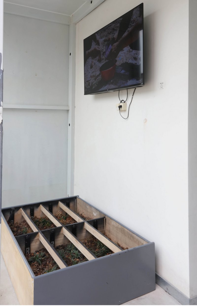 黄文亚《南山之南》影像装置 2017&mdash;2025  深圳