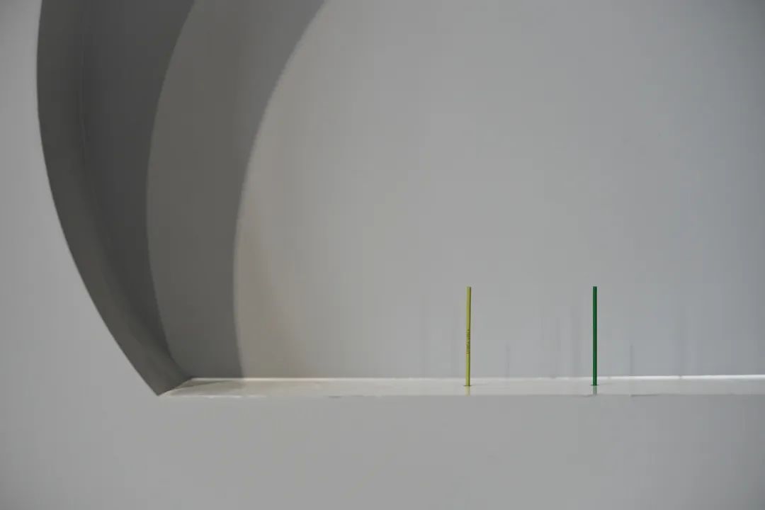 凯蒂·帕特森（英国） 《燃烧，森林，火》（To Burn, Forest, Fire），2021