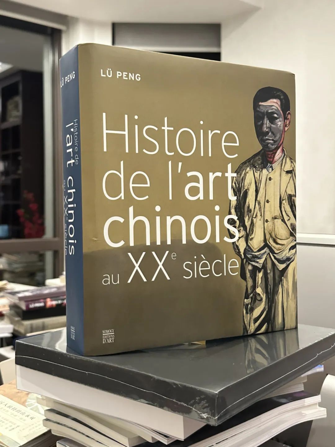 ▲《20世纪中国艺术史》法文版，图片致谢：吕澎