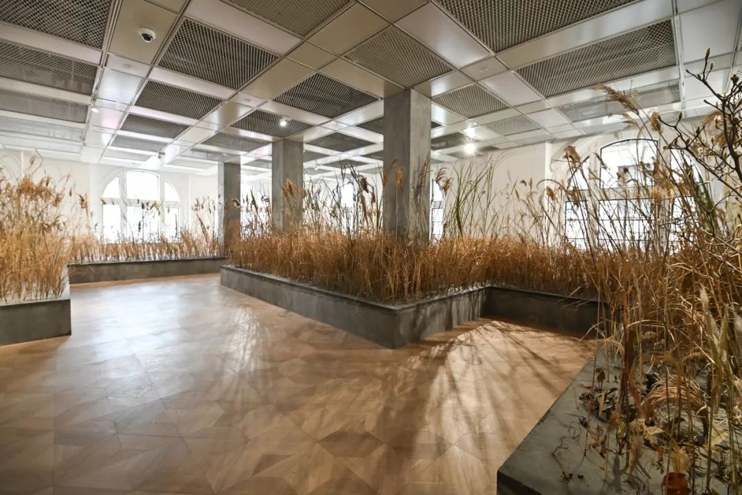 “把万物进行到底”展览现场