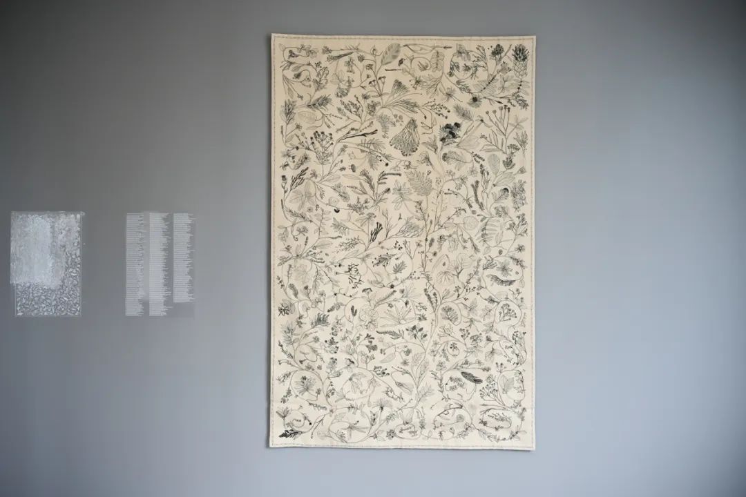 凯蒂 ·帕特森（英国） 《常青》（Evergreen），2022