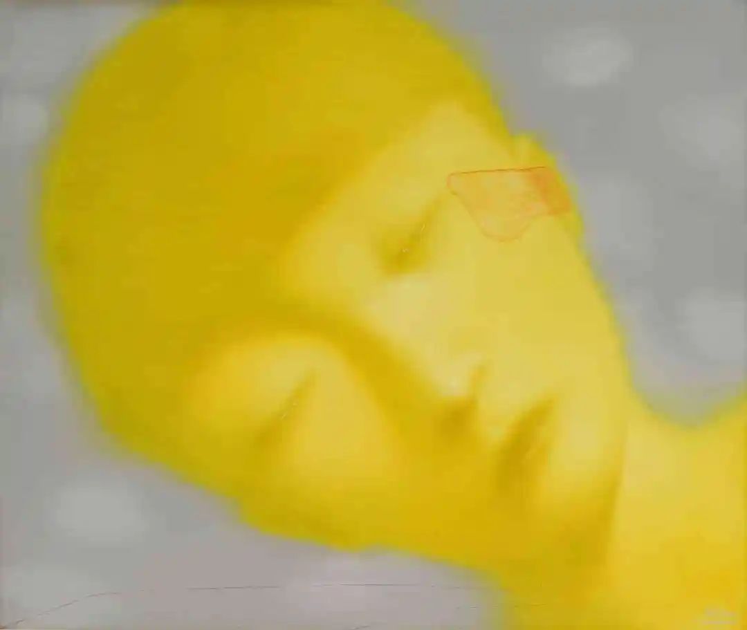 张晓刚 《失忆与记忆》