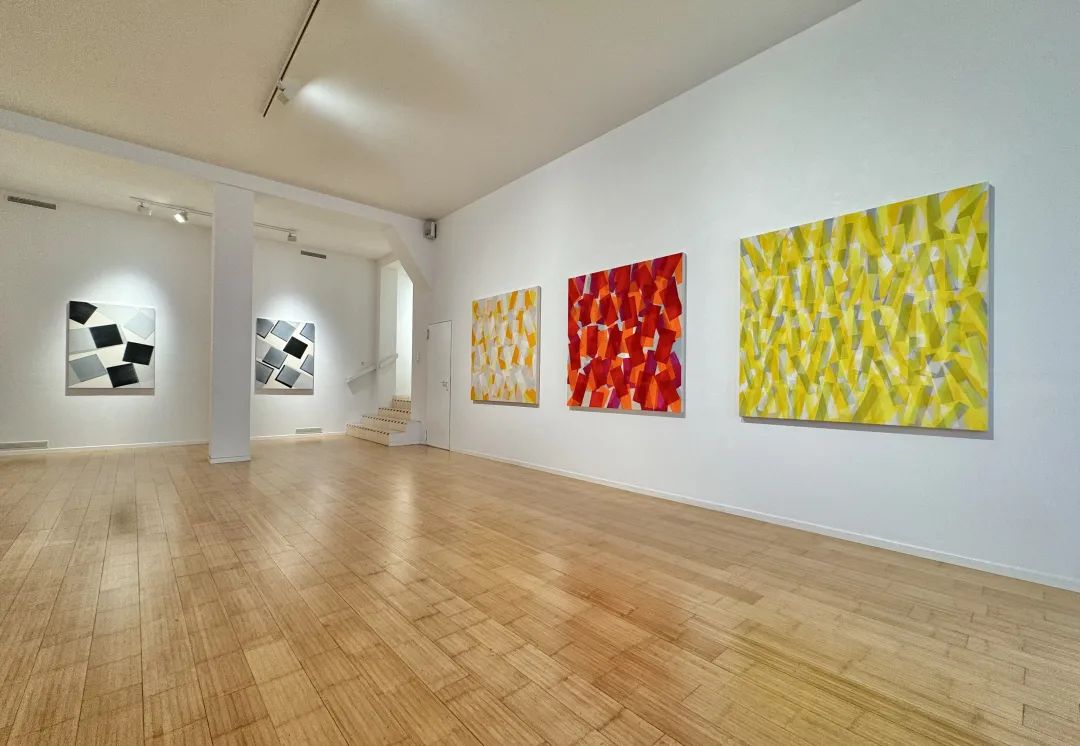 《尼柯拉·迪米托夫 》个展现场