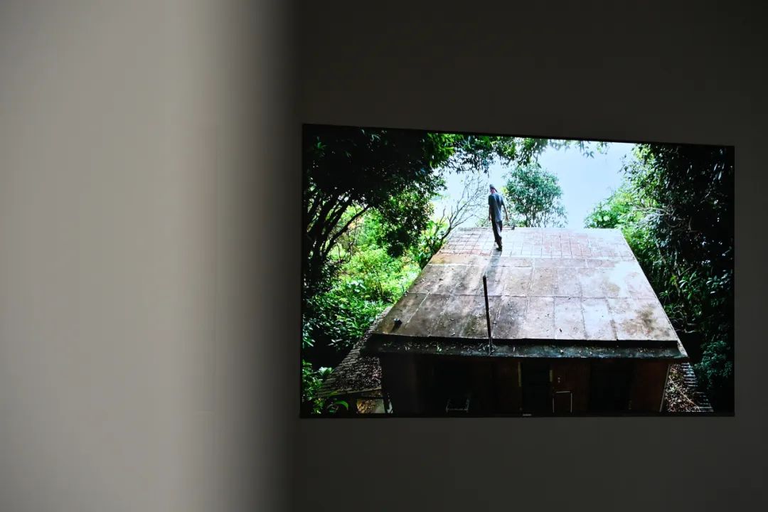 弗朗西斯·埃利斯（比利时） 《下一步和下下一步》（Next Steps），2020