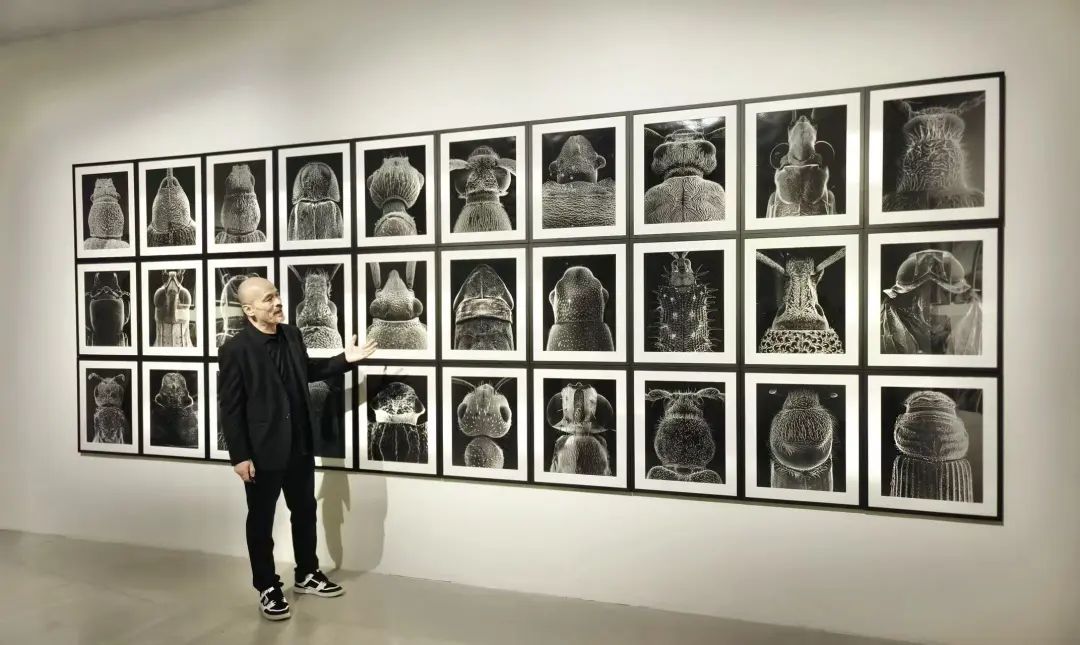 策展人任戎现场导览