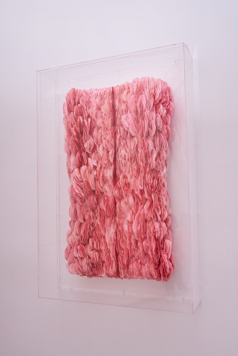 张晓雪 《震颤》