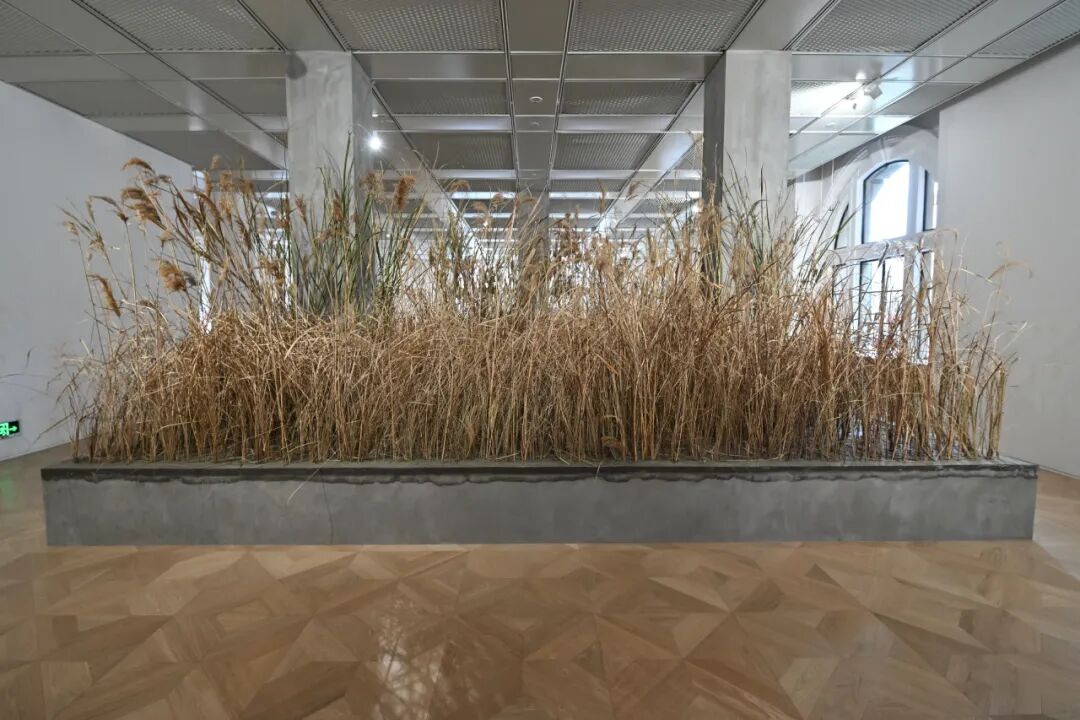 尹秀珍（中国） 《种植》（Plant），1997-2026
