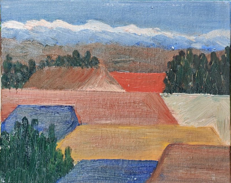 川石 未校准的独白6 纸板油画 24×30cm