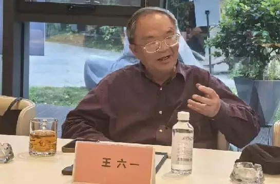 亚太动漫协会秘书长、贵州省经济文化促进会会长、著名文化学者王六一