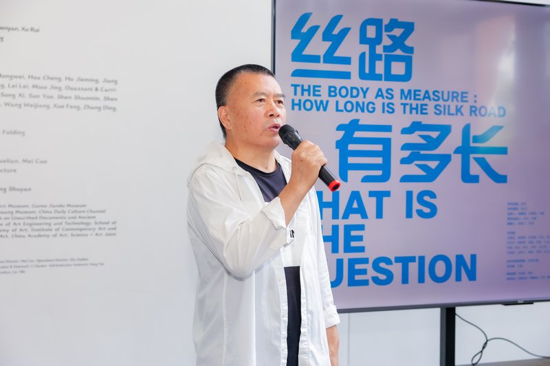 艺术家沈少民