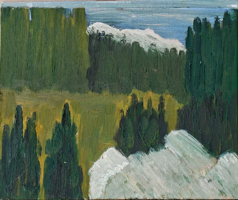 川石 未校准的独白7 纸板油画 30×40cm