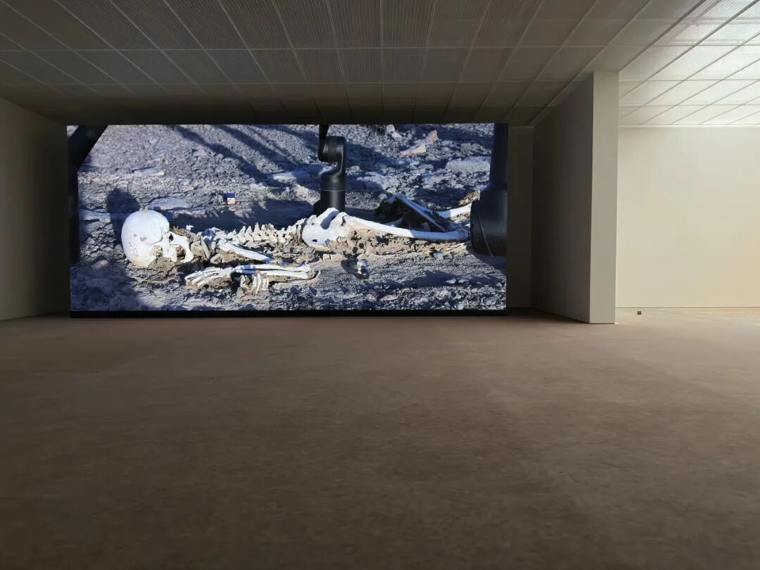 贝耶勒基金会法国艺术家皮埃尔・于热(Pierre Huyghe)同名个展 展览现场