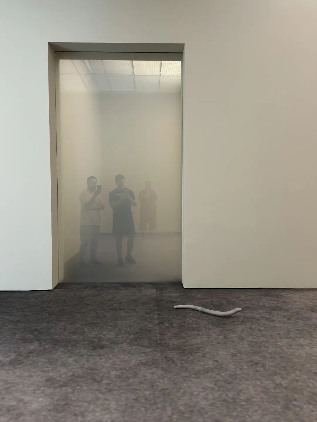 贝耶勒基金会法国艺术家皮埃尔・于热(Pierre Huyghe)同名个展 展览现场