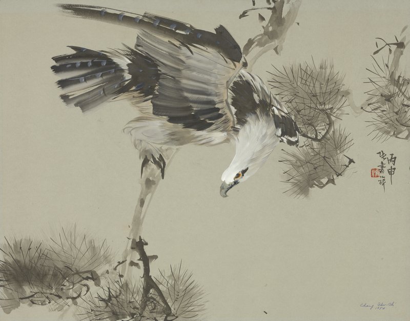 《松鹰》&nbsp; 56 &times; 71.5 cm&nbsp; 纸本&nbsp; 1956年&nbsp; 浙江美术馆藏