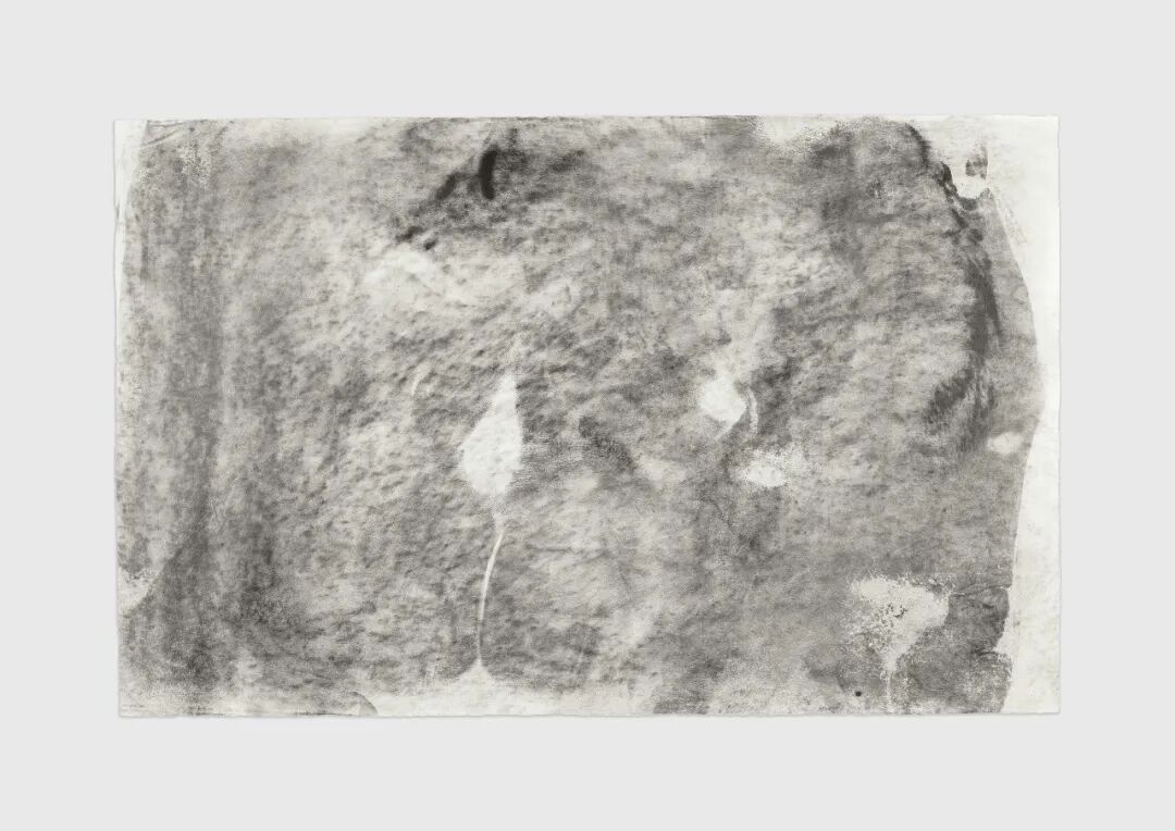 贾斯珀·琼斯(Jasper Johns)《皮肤 II》,1973年纸本炭笔及油彩64.1 x 102.2 厘米艺术家个人收藏