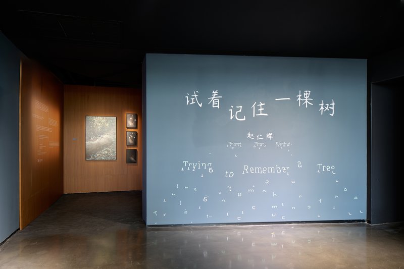 赵仁辉个展《试着记住一棵树》现场图