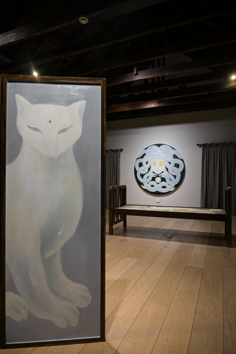 “郝铄:做我的镜子,长剑与盾牌”展览现场图,2026年,VILLA tbh