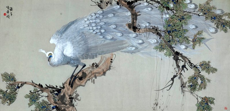 白孔雀 65.9 × 133 cm 纸本 1948年 浙江省博物馆藏
