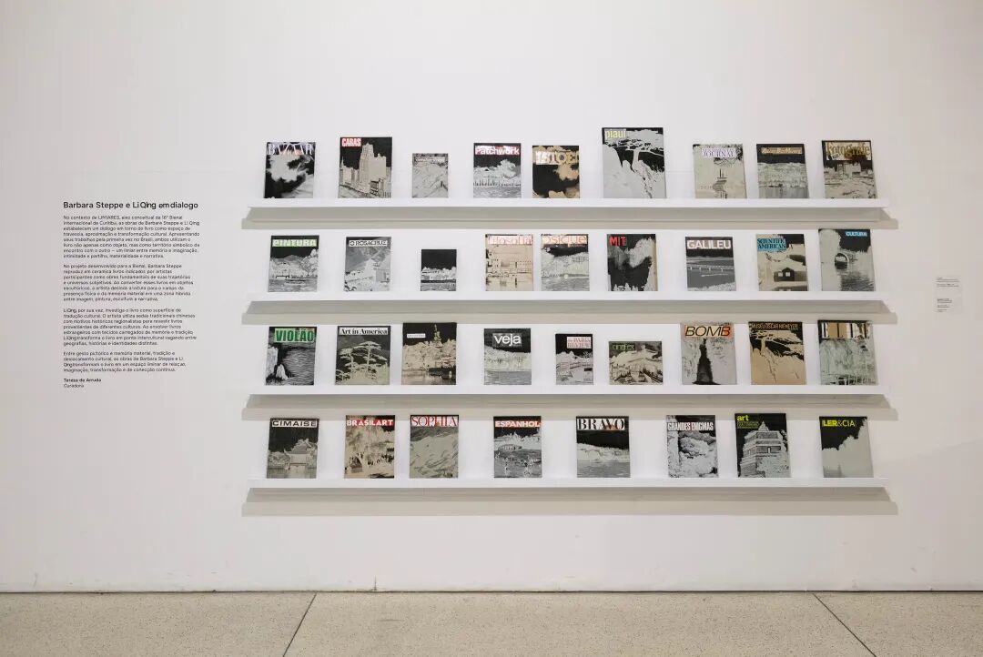 库里蒂巴双年展 李青作品《阴翳志》 2014-2026