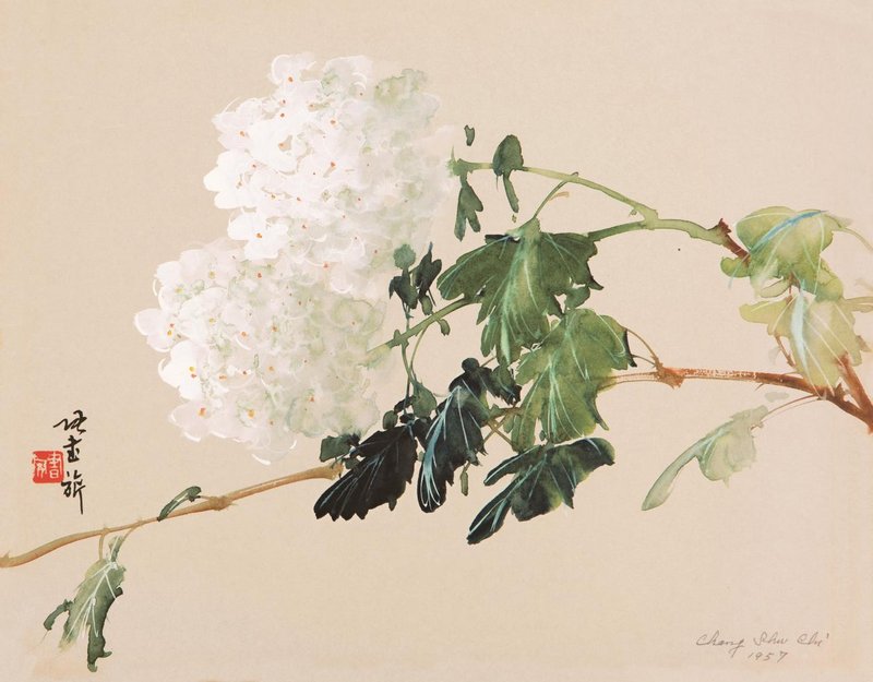 白蕊图 28×35.5cm 1957年 浙江美术馆藏