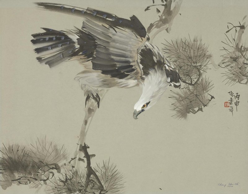 松鹰 56 × 71.5 cm 纸本 1956年 浙江美术馆藏