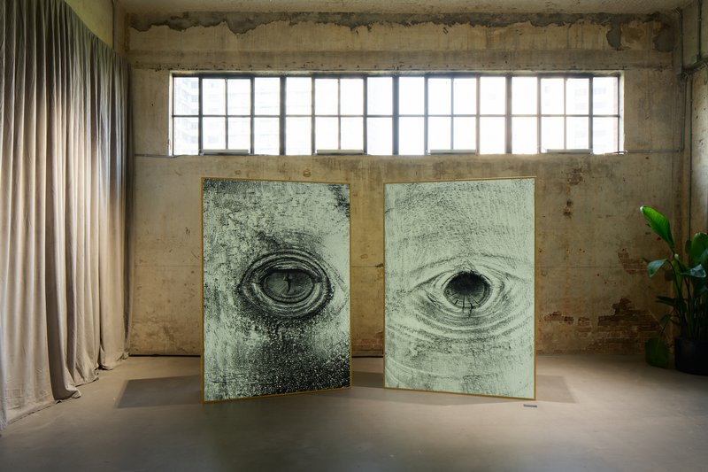 赵仁辉个展《试着记住一棵树》现场图