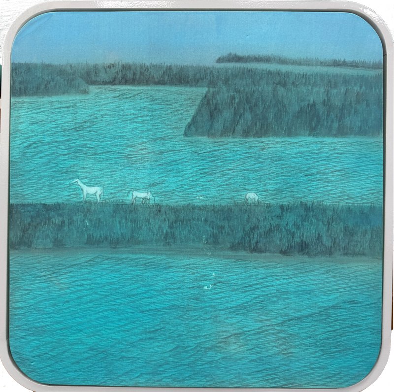 贺海锋《水草边》40x40cm,绢本设色,2026年