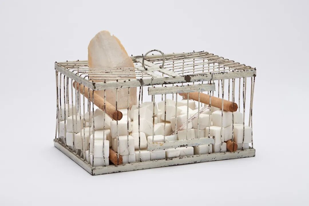 Marcel Duchamp. Why Not Sneeze, Rose Sélavy, 1921.